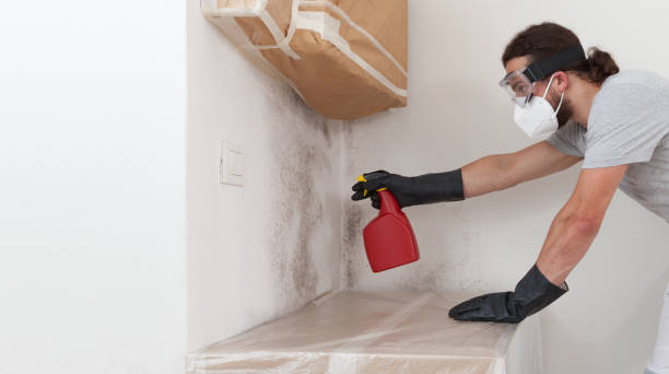 Professional Bathroom Mold Removal technician working in Centreville, IL