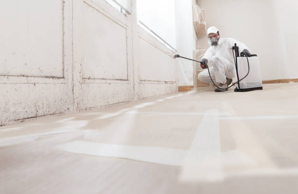 24/7 Emergency Bathroom Mold Removal experts in Centreville, IL